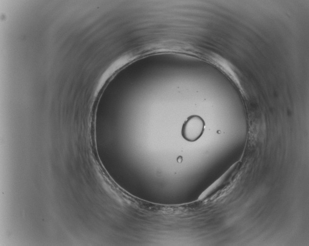 X0000062881146200601201813