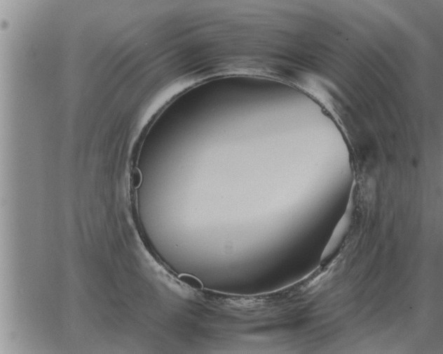 X0000062881147200601201813