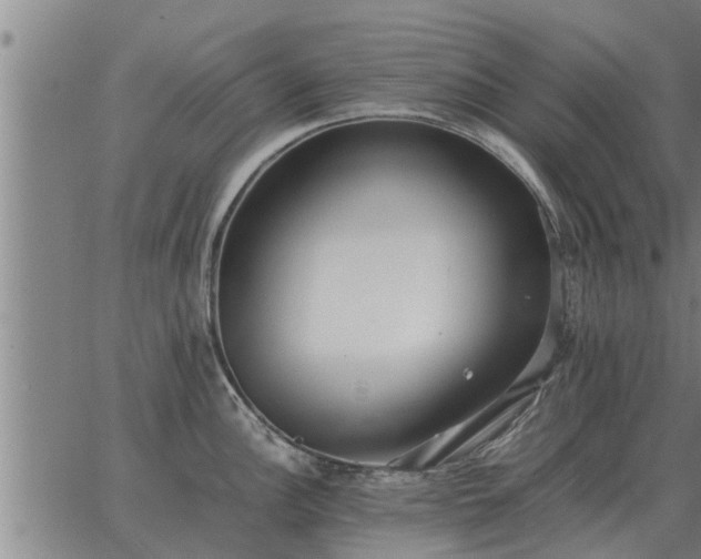 X0000062881148200601201813