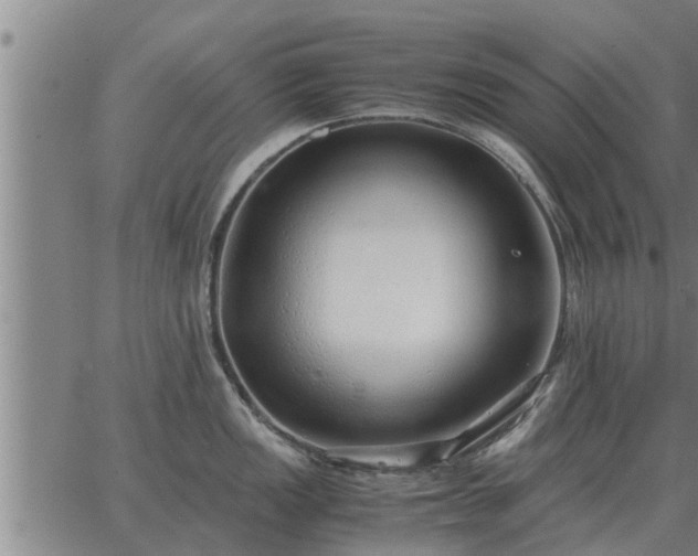 X0000062881149200601201813