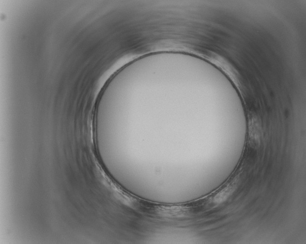 X0000062881150200601201813