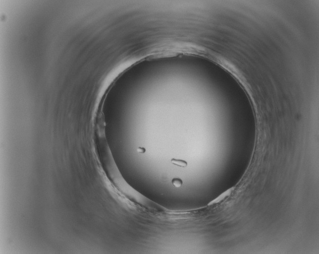 X0000062881152200601201813