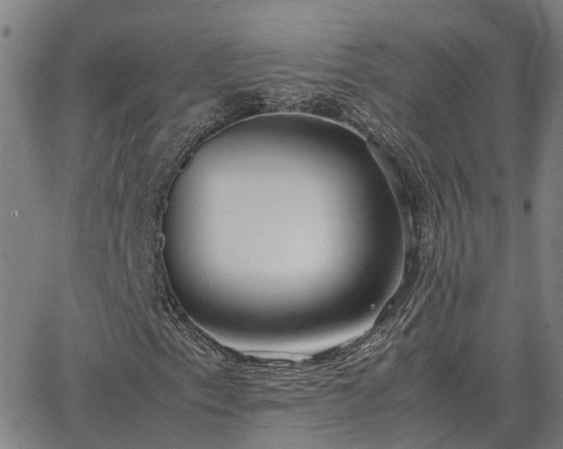 X0000062881153200601201812