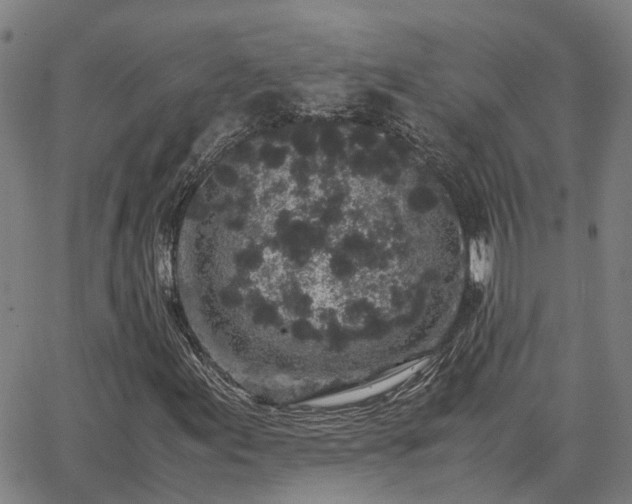 X0000062881155200601201812