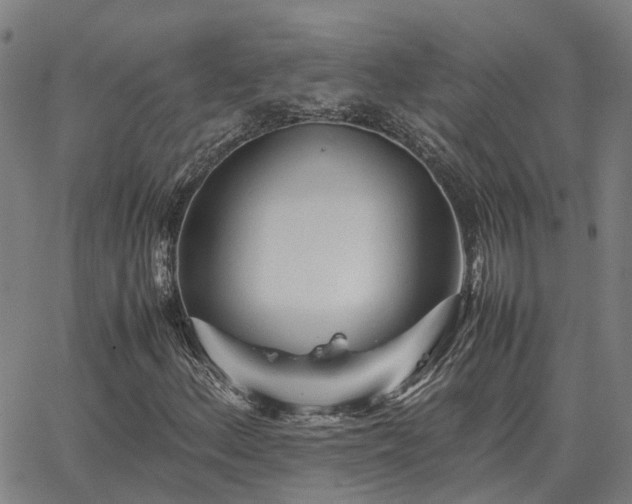 X0000062881156200601201812