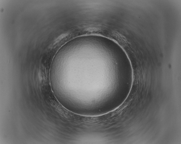 X0000062881158200601201812