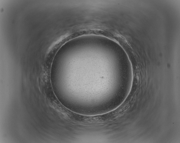 X0000062881159200601201812