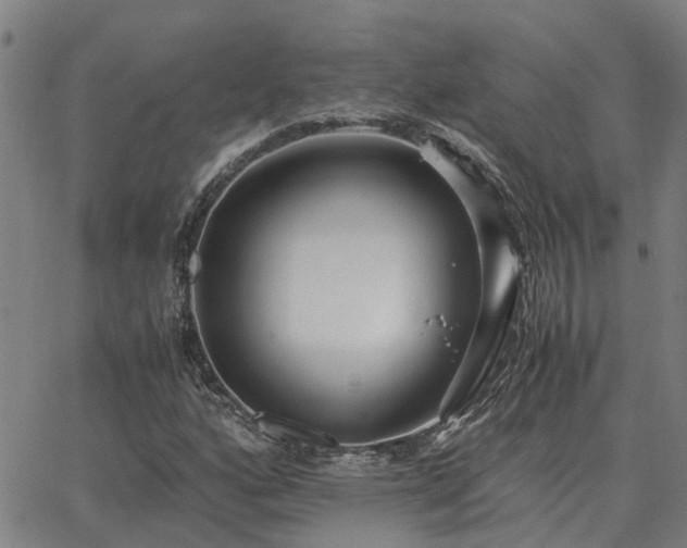 X0000062881160200601201812