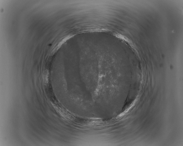 X0000062881161200601201812