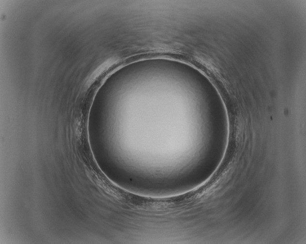 X0000062881163200601201812