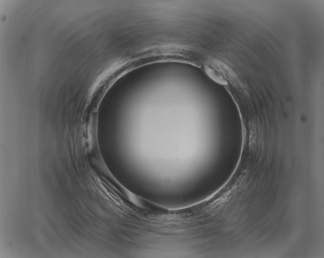 X0000062881164200601201812