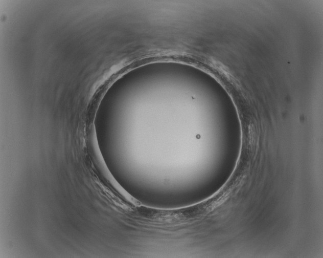 X0000062881165200601201812