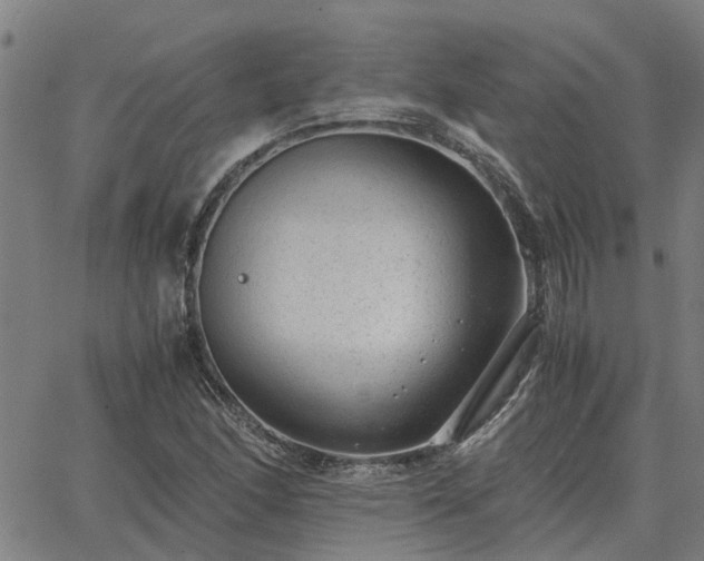 X0000062881166200601201812