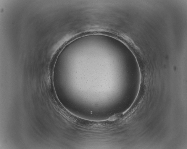 X0000062881167200601201812