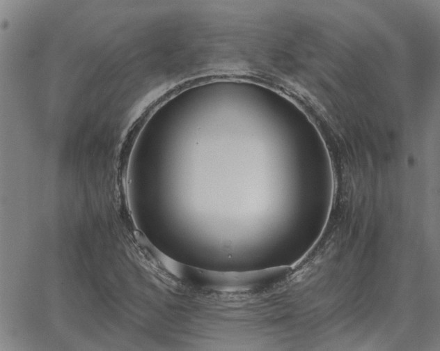 X0000062881168200601201812