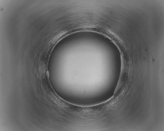 X0000062881169200601201812