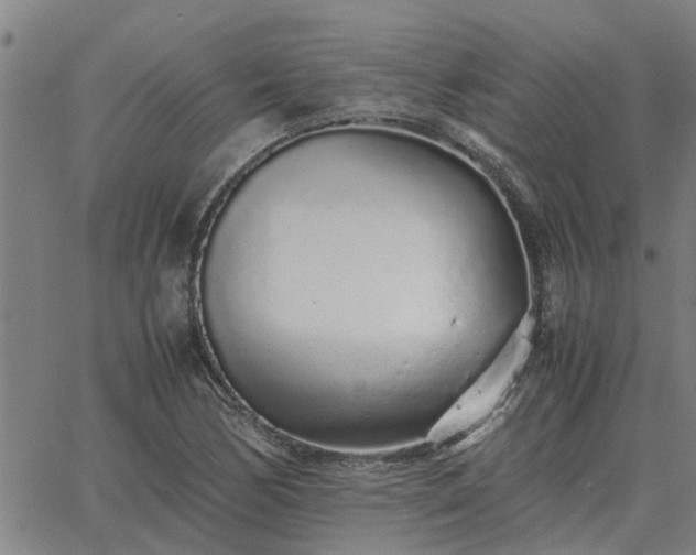 X0000062881170200601201812