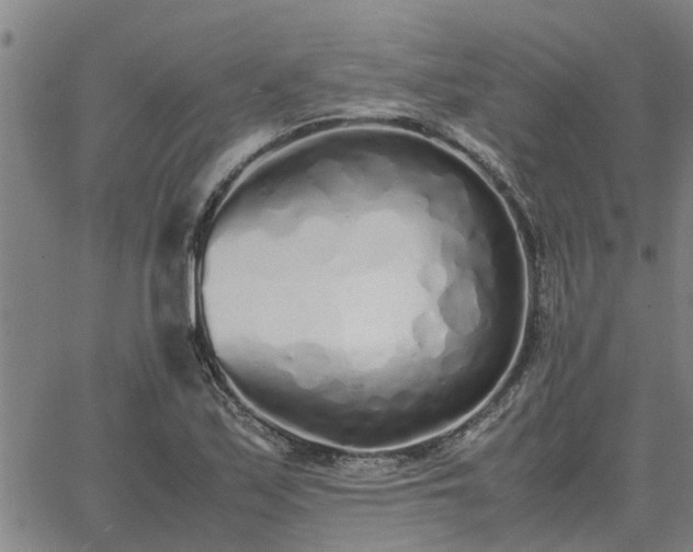 X0000062881171200601201812