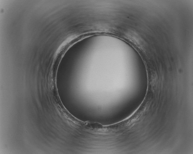 X0000062881172200601201812