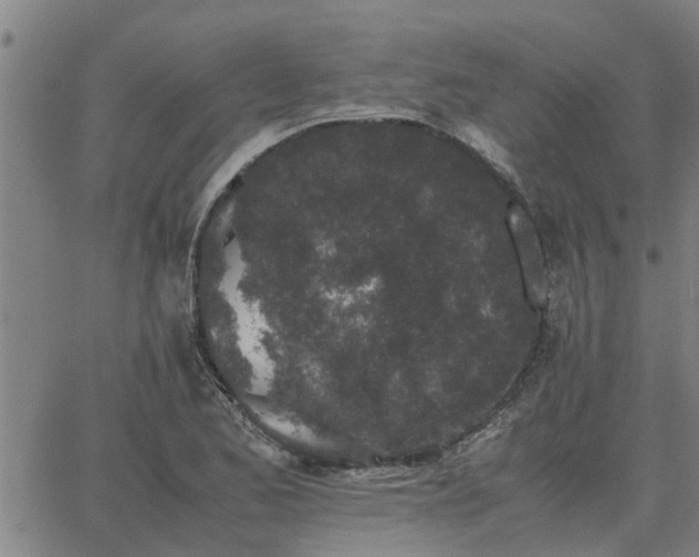 X0000062881173200601201812