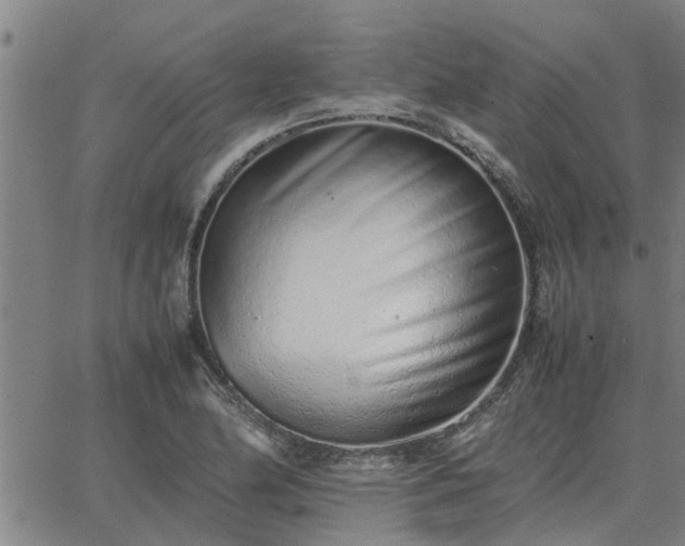 X0000062881174200601201812