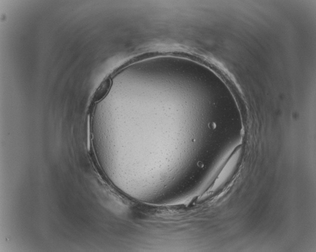 X0000062881175200601201812