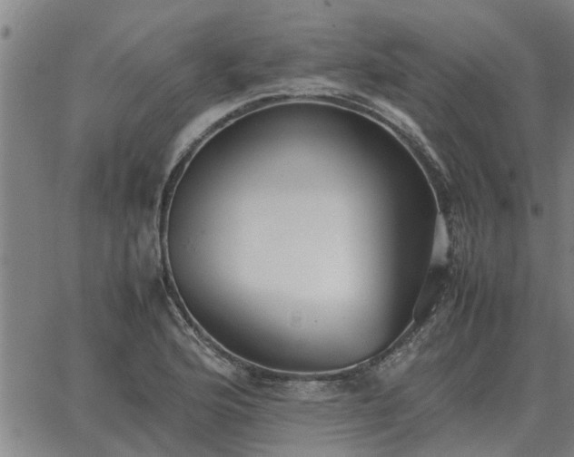 X0000062881176200601201812