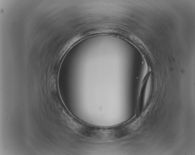 X0000062881177200601201812