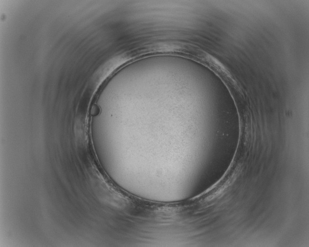 X0000062881178200601201812