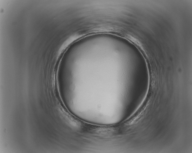 X0000062881179200601201812