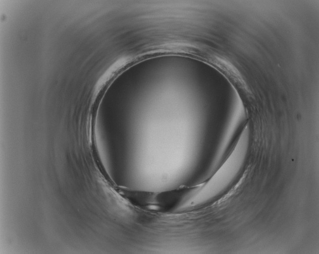 X0000062881180200601201812