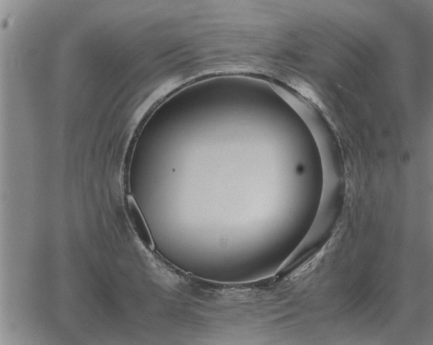 X0000062881181200601201812