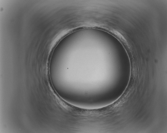 X0000062881183200601201812