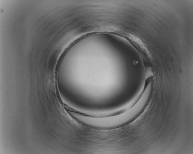 X0000062881184200601201812