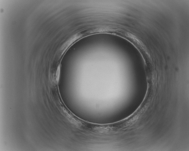 X0000062881185200601201812