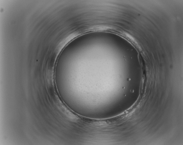 X0000062881186200601201812