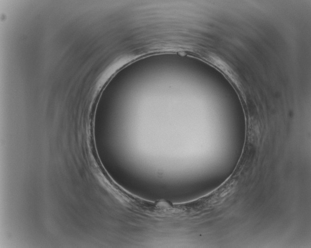 X0000062881187200601201812