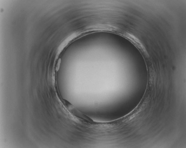 X0000062881188200601201812