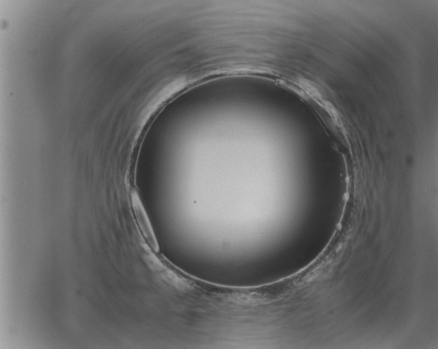 X0000062881189200601201812