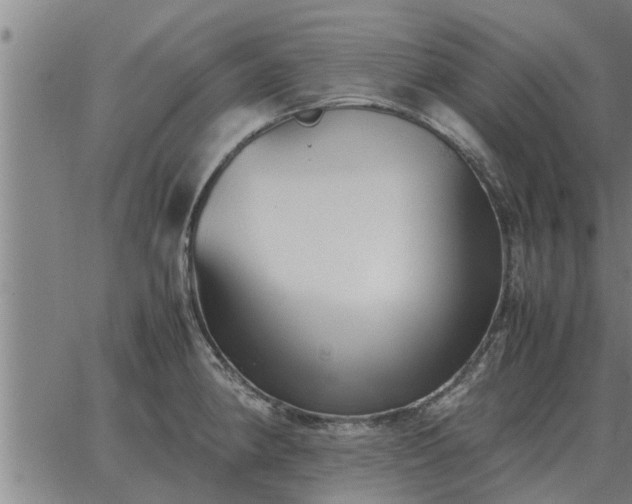 X0000062881190200601201812