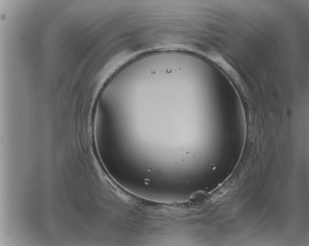 X0000062881191200601201812