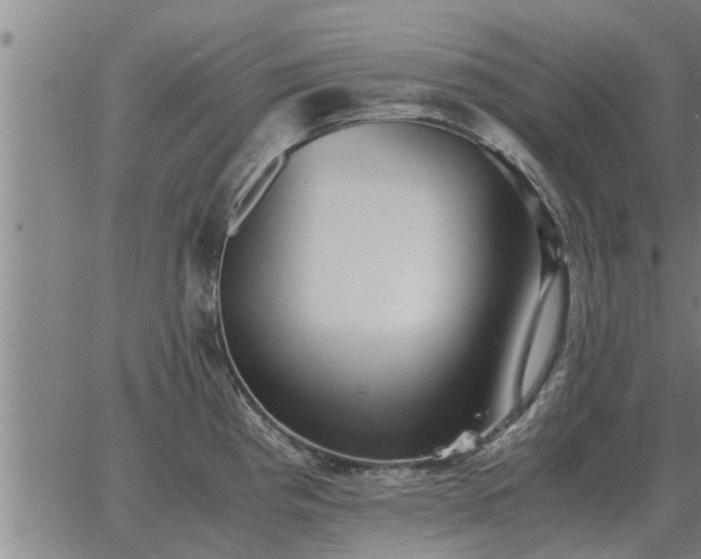 X0000062881193200601201812