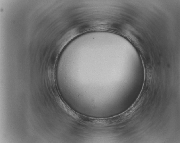 X0000062881194200601201812