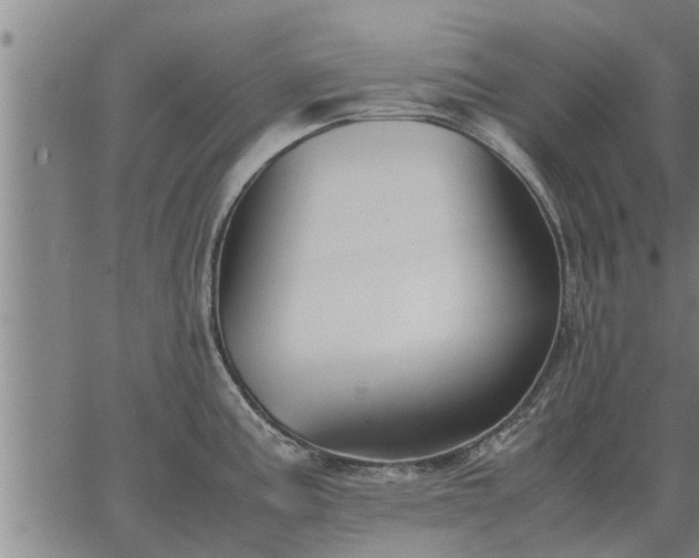 X0000062881195200601201812