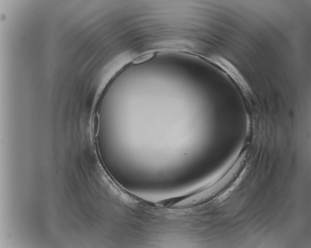 X0000062881196200601201812