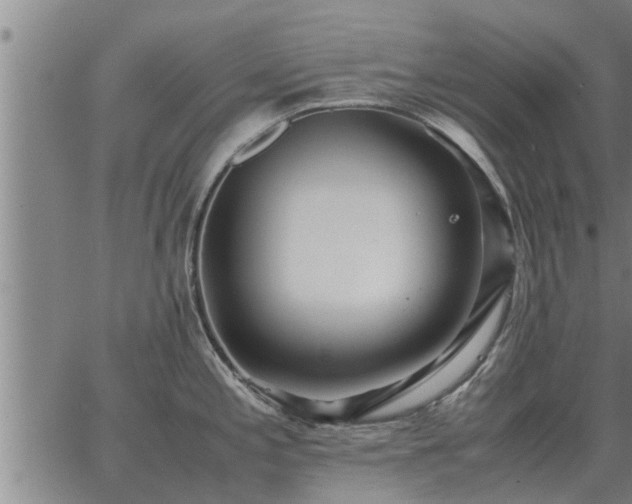 X0000062881197200601201812