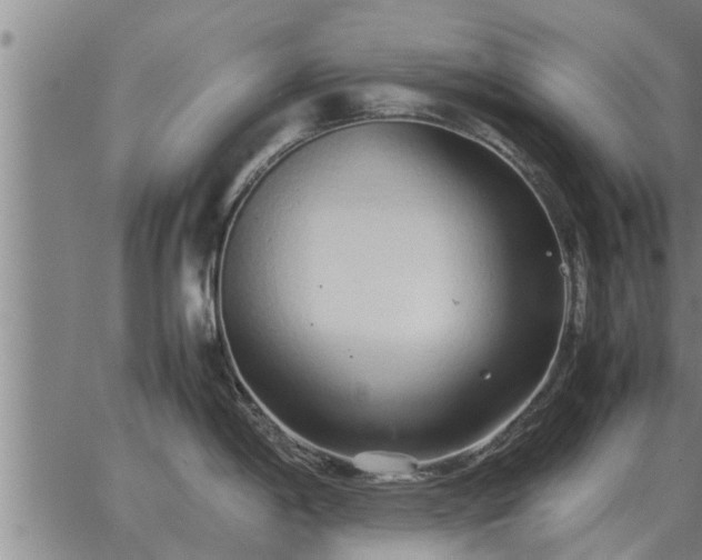 X0000062881198200601201812