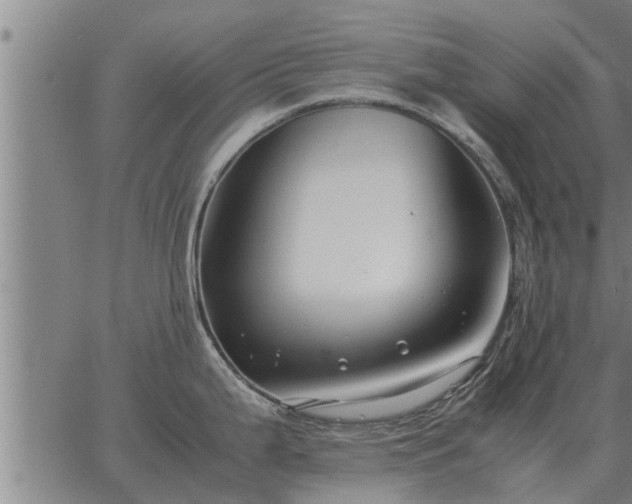 X0000062881199200601201812