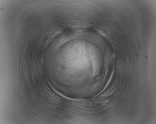 X0000062881202200601201811