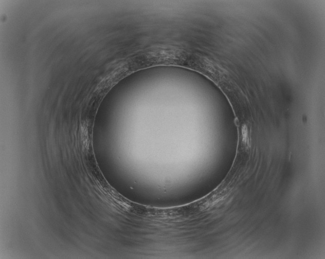 X0000062881203200601201811